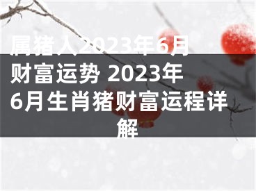 属猪人2023年6月财富运势 2023年6月生肖猪财富运程详解