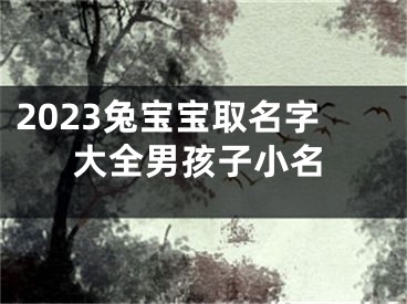 2023兔宝宝取名字大全男孩子小名