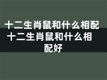 十二生肖鼠和什么相配 十二生肖鼠和什么相配好