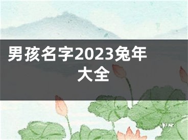 男孩名字2023兔年大全