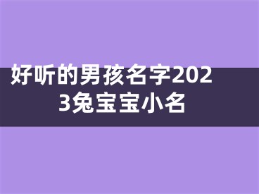 好听的男孩名字2023兔宝宝小名