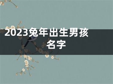 2023兔年出生男孩名字