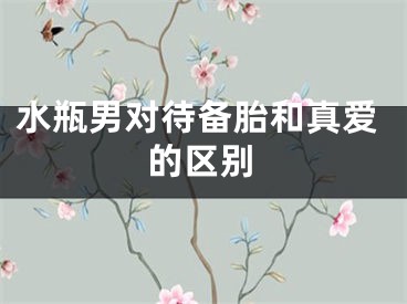 水瓶男对待备胎和真爱的区别