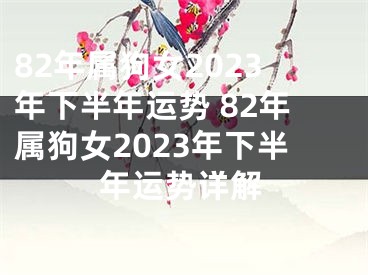 82年属狗女2023年下半年运势 82年属狗女2023年下半年运势详解