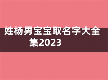 姓杨男宝宝取名字大全集2023