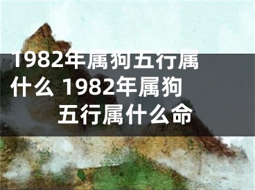 1982年属狗五行属什么 1982年属狗五行属什么命