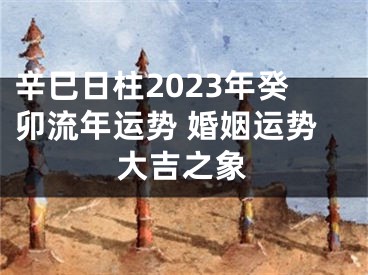 辛巳日柱2023年癸卯流年运势 婚姻运势大吉之象