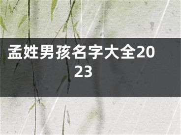 孟姓男孩名字大全2023