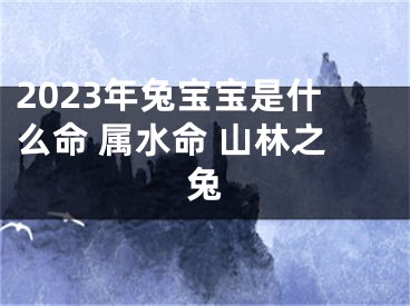 2023年兔宝宝是什么命 属水命 山林之兔