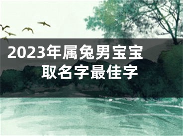 2023年属兔男宝宝取名字最佳字