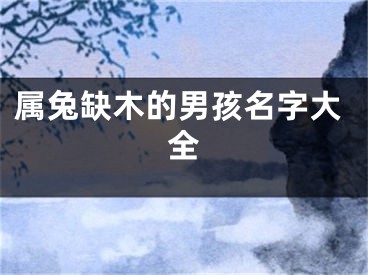 属兔缺木的男孩名字大全