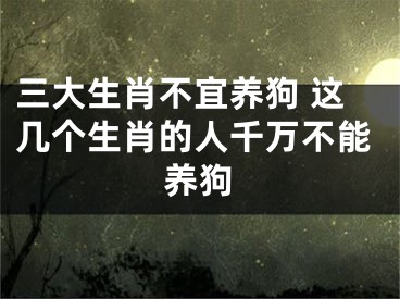 三大生肖不宜养狗 这几个生肖的人千万不能养狗