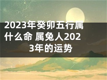 2023年癸卯五行属什么命 属兔人2023年的运势