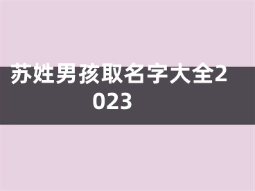 苏姓男孩取名字大全2023