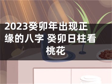 2023癸卯年出现正缘的八字 癸卯日柱看桃花