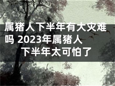 属猪人下半年有大灾难吗 2023年属猪人下半年太可怕了