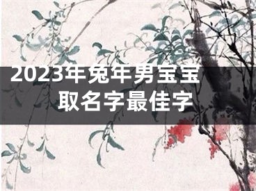 2023年兔年男宝宝取名字最佳字