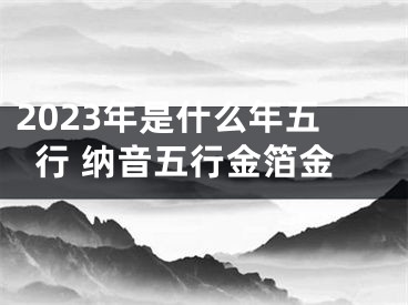 2023年是什么年五行 纳音五行金箔金