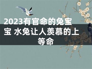 2023有官命的兔宝宝 水兔让人羡慕的上等命