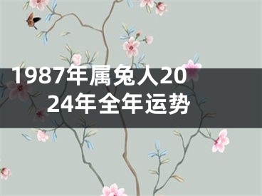 1987年属兔人2024年全年运势