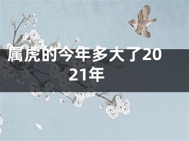 属虎的今年多大了2021年