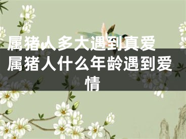 属猪人多大遇到真爱 属猪人什么年龄遇到爱情