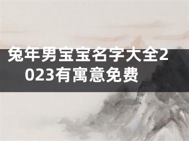 兔年男宝宝名字大全2023有寓意免费