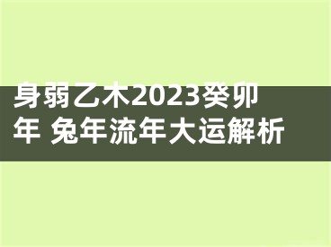 身弱乙木2023癸卯年 兔年流年大运解析