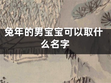 兔年的男宝宝可以取什么名字