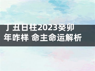 丁丑日柱2023癸卯年咋样 命主命运解析