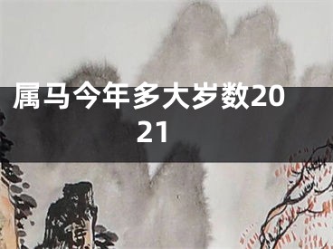 属马今年多大岁数2021