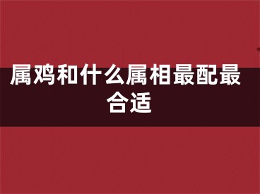 属鸡和什么属相最配最合适