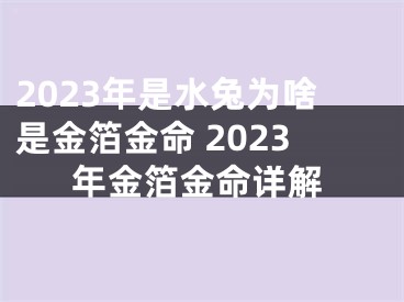 2023年是水兔为啥是金箔金命 2023年金箔金命详解