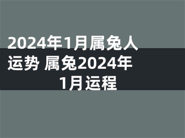 2024年1月属兔人运势 属兔2024年1月运程