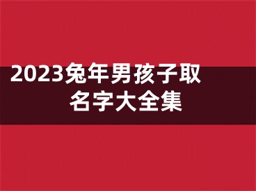 2023兔年男孩子取名字大全集