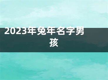 2023年兔年名字男孩