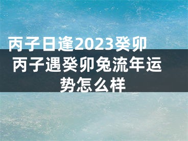 丙子日逢2023癸卯 丙子遇癸卯兔流年运势怎么样