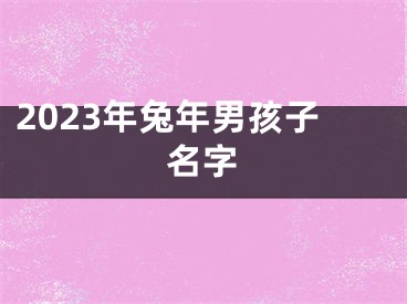 2023年兔年男孩子名字