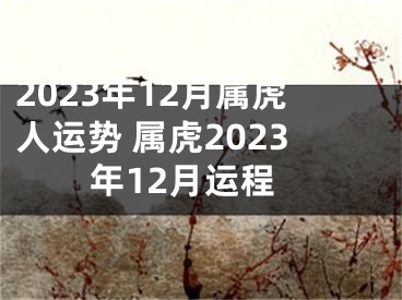 2023年12月属虎人运势 属虎2023年12月运程