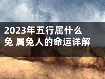 2023年五行属什么兔 属兔人的命运详解