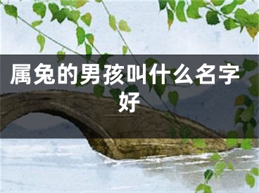 属兔的男孩叫什么名字好