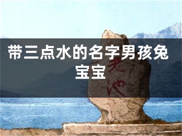 带三点水的名字男孩兔宝宝