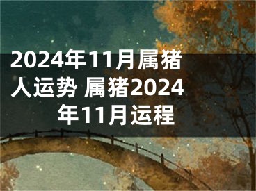 2024年11月属猪人运势 属猪2024年11月运程