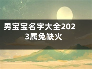 男宝宝名字大全2023属兔缺火