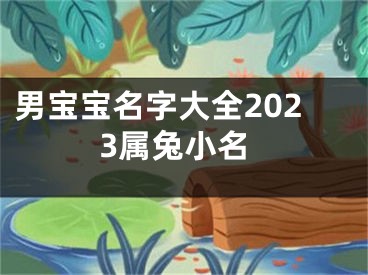 男宝宝名字大全2023属兔小名