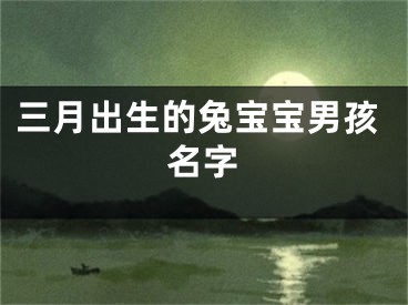 三月出生的兔宝宝男孩名字