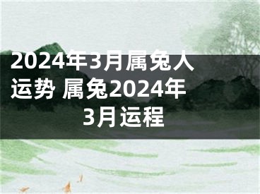 2024年3月属兔人运势 属兔2024年3月运程