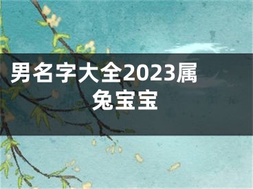 男名字大全2023属兔宝宝