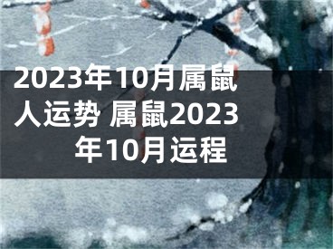 2023年10月属鼠人运势 属鼠2023年10月运程