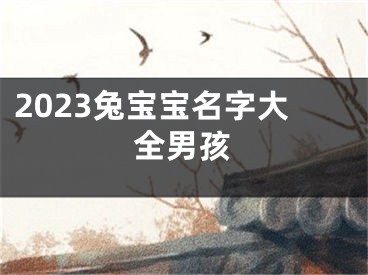 2023兔宝宝名字大全男孩